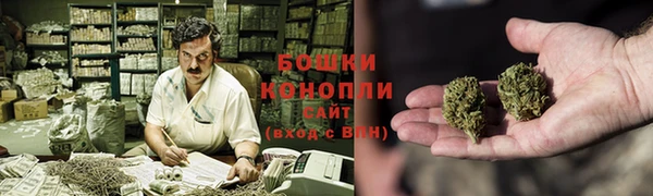 PSILOCYBIN Богданович