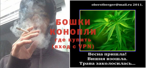 PSILOCYBIN Богданович