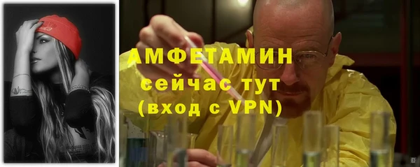 PSILOCYBIN Богданович
