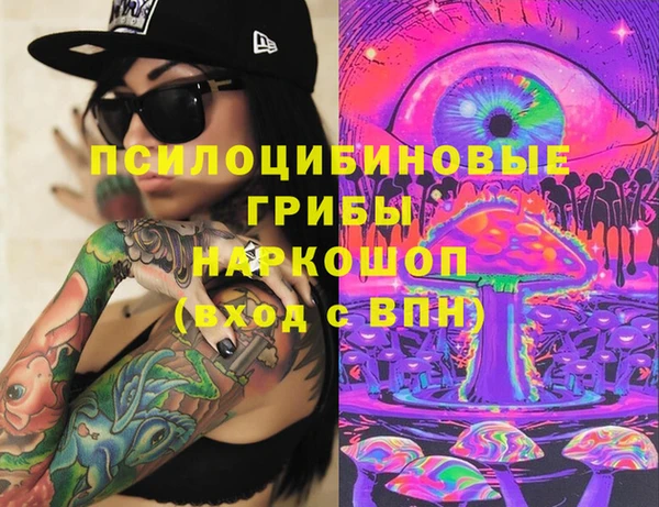 PSILOCYBIN Богданович