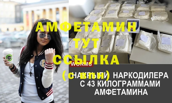 PSILOCYBIN Богданович