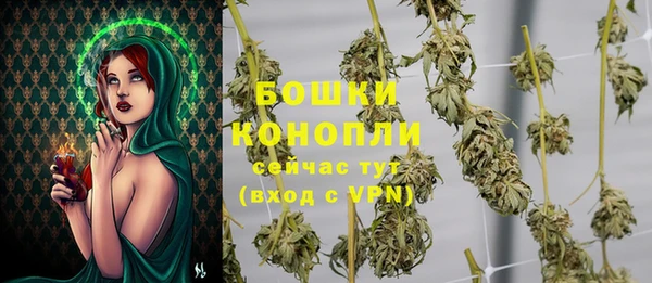 PSILOCYBIN Богданович