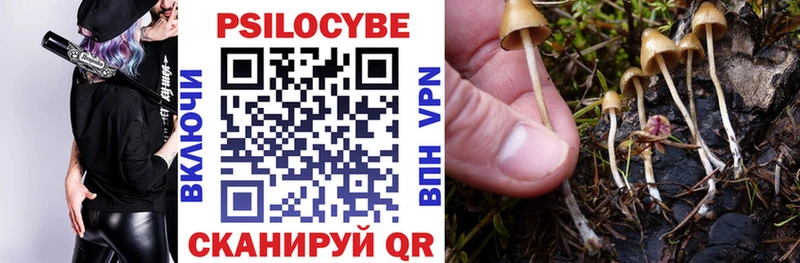 Галлюциногенные грибы ЛСД  Тихвин 